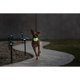 thumbnail image 2 of Pelota Saltarina para Perros Jolly Pets Jolly Jumper Grande 4", 2 of 5