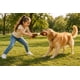 thumbnail image 2 of Juguete para perro Pato con sonido tela resistente 33cm, 2 of 2