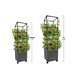 thumbnail image 2 of Soporte para plantas trepadoras Emsco City Picker Trellis Tower, 2 of 6