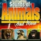 thumbnail image 1 of Efectos de Sonido Kado Sonidos de Animales 44 Pistas, 1 of 1
