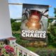 thumbnail image 5 of Choo-Choo Charles-bandera de jardín temática. Regalo perfecto para fans, amigos y familiares, ideal para actividades al aire libre y decoración de fiestas.28CM*45CM, 5 of 5