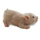 thumbnail image 3 of Pequeño Juguete De Cerdo Renacido Juguete Sensorial Novedad Para Niños Y Adultos Decoración Del Hogar, 3 of 5