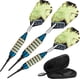 thumbnail image 1 of Darts Viper Spinning Bee, punta blanda, 16 g, con funda Casemaster, azul, 1 of 9