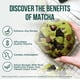 thumbnail image 3 of Té, hoja de jade, matcha, grado ingrediente orgánico, 454 g, en polvo, 3 of 6