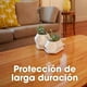 thumbnail image 5 of Lustra Muebles en Crema Cuidado Experto, 5 of 5
