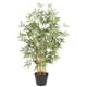 thumbnail image 2 of Bamboo de 90 cm, 2 of 2