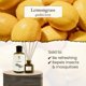 thumbnail image 3 of Difusor de Aroma Pristine Lemongrass 45 ml/180 ml, 3 of 8
