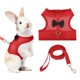 thumbnail image 1 of Arnés y Correa para Conejo Uxcell, Arnés de Chaleco Lindo para Mascotas Pequeñas, Correa Ajustable Suave de Malla Transpirable (L, Rojo) para Conejito, Gatito, Cerdito Pequeño, Cachorros, 1 of 7