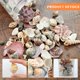 thumbnail image 3 of Sea Shells WEOXPR, 200 unidades, playa mixta, océano, para manualidades y niños, 3 of 6