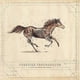 thumbnail image 1 of CD de música Turnpike Troubadours: Long Way From Your Heart, 1 of 1