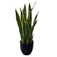 Corel - Planta Decorativa Sanseviera Verde - Amarilla 90Cm