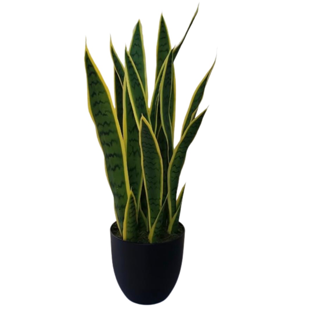 Corel - Planta Decorativa Sanseviera Verde - Amarilla 90Cm