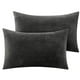thumbnail image 1 of Juego estándar de 2 fundas de almohada de franela, funda de almohada de forro polar súper suave con cremallera para dormitorio, sofá, sillón, lujosa y acogedora., 1 of 6