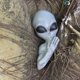 thumbnail image 5 of Decoración de Halloween de 14" con Alienígena asomándose desde el Árbol para Jardín y Patio, 5 of 7