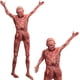 thumbnail image 1 of Colgantes para torso con forma de cadáver de Halloween, Xonor, 148 cm, de látex, 1 of 3