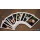thumbnail image 3 of Película Instantánea Instax Mini 8 Y Mini 9 (100 Hojas), 3 of 6