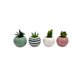 thumbnail image 2 of Macetero Planta 9 cm, 2 of 3