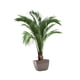 thumbnail image 4 of Calcomanías De Pared Con Plantas Botánicas, Adornos Para Estanterías, Pegatinas De Arte De Pared En 3D Para Dormitorio, 4 of 5
