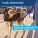 thumbnail image 4 of Correa para perros PetSafe de nailon, resistente y duradera, 3/4 pulgadas x 6 pies, azul, 4 of 6