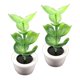 thumbnail image 5 of 2 Piezas 1:12 Escala Casa De Mu?ecas Miniaturas Planta Verde árbol Plantas Modelo Decoración, 5 of 5