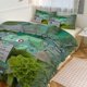 thumbnail image 1 of Bulb_asaur Print Bedding Set Pattern Duvet Cove Set 3 Pieces 1 Quilt Cover And 2 Pillowcases for Women Men Teens, 1 of 5