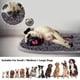 thumbnail image 2 of Snuffle Mat Rundik para perros, juego de oler y comer, 43 x 53 cm, 2 of 7