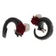 thumbnail image 5 of Artificial Ram Horns Xmas Cosplay Gothic Hair Clips Horquillas Diadema Negro, 5 of 5