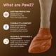 thumbnail image 2 of Botas para perro Protex PawZ de goma impermeables para todo clima, color café, 2 of 7