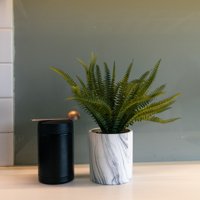 Vadell Home - Helecho Silvestre De 30 Cm, Con Macetero