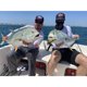thumbnail image 2 of Popper Yo-Zuri 3D Inshore 90 mm Bone Prisma3D para Agua Salada, 2 of 3