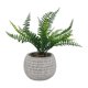 thumbnail image 2 of Planta Artificial filicopsida, 2 of 4