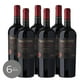 thumbnail image 1 of Pack x6 Vino Valdivieso SV Malbec 750 cc, 1 of 2