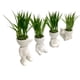 thumbnail image 1 of Macetero Planta, 1 of 3