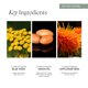 thumbnail image 4 of Aceite Facial Intelligent Nutrients 30 ml Orgánico Vegano, 4 of 6
