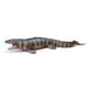thumbnail image 4 of Figura de Colección Reptil Mosasaurus Recur, 4 of 4