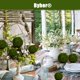 thumbnail image 3 of Bola de musgo decorativa BYHER Natural Green Moss (9 cm), juego de 6, 3 of 7