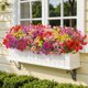 thumbnail image 5 of Flores artificiales ShareConn para decoración de exteriores, 24 unidades, 5 of 9