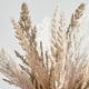 thumbnail image 3 of Better Homes & Gardens Pampas Artificial con Florero de Cemento de 13.39 in, 3 of 3
