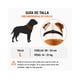 thumbnail image 2 of Bozal Perro Braquicéfalo L Bulldog Inglés 14-21kg, 2 of 9