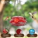 thumbnail image 4 of Comedero para colibríes Nature's Way MHF4, 473 ml, vidrio rojo, 4 of 8