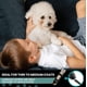 thumbnail image 5 of Kit de grooming para perros Pet Union, cortadora profesional recargable, 5 of 8
