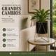 thumbnail image 4 of Porta Macetero Pedestal Maceta Plantas Decoracion Pequeño negro, 4 of 9