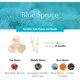 thumbnail image 3 of Difusor AGRARIA AirEssence 210 ml Abeto Azul, 3 of 6