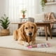 thumbnail image 3 of Colagepet Snack Para Perros 100% Natural Talla L Sabor Pato, 3 of 5