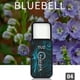 thumbnail image 1 of Long-Lasting Men's Portable Solid Perfume: Natural Fragrance Deodorant Stick for All-Day Freshness, 1 of 5