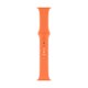 thumbnail image 1 of Correa de reloj Apple Sport de 40 mm con vitamina C regular, 1 of 3