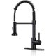 thumbnail image 1 of DJS Kitchen Sink Faucet with Pull-Down Sprayer, Single Handle, 1 of 3
