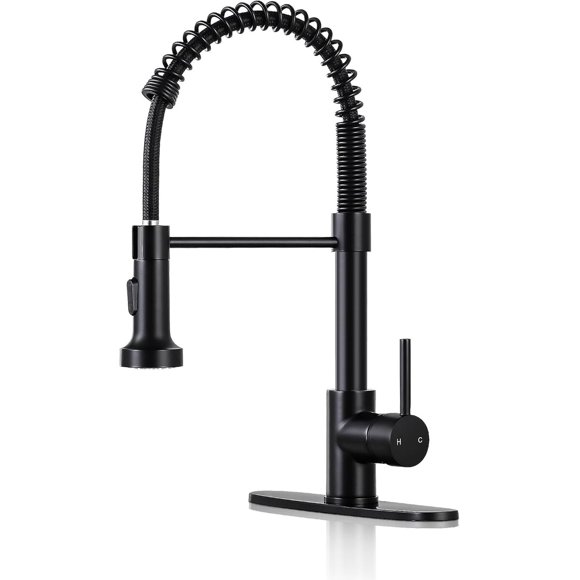 DJS Kitchen Sink Faucet with Pull-Down Sprayer, Single Handle