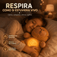 thumbnail image 2 of CAPIBARA DE RESPIRACIÓN RELAJANTE: EL ABRAZO QUE DEVUELVE LA PAZ A TU HOGAR, 2 of 7