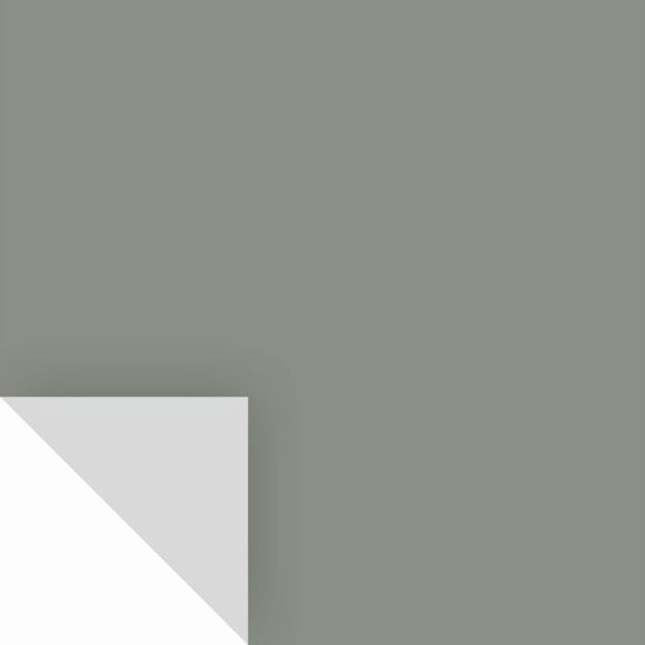 Adhesivo Peel&Stick de Paint SAMPLIZE con forma de gaviota Carolina